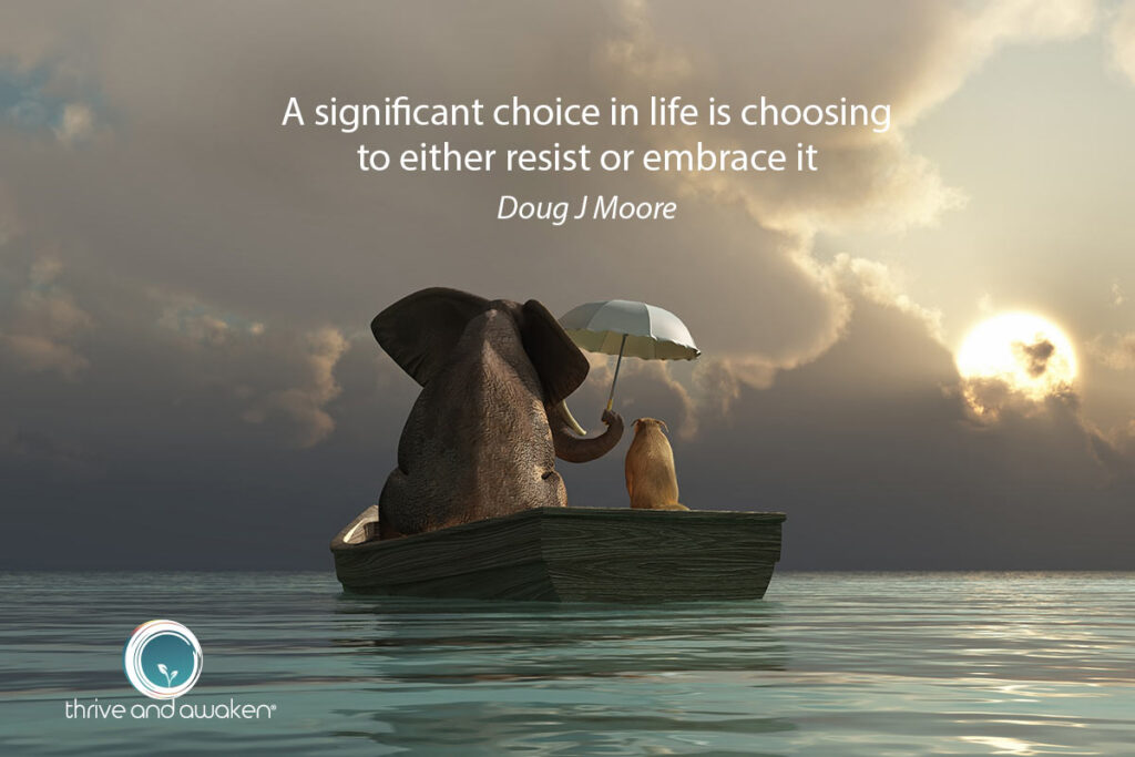 An elephant holding an umbrella over a cat in a boat with quote from Doug: A significant choice in life is choosing to either resist or embrace it